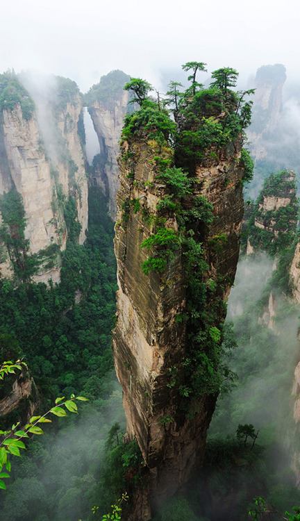A beautiful World 15