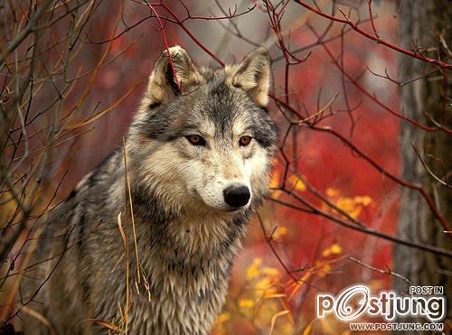 A beautiful World 16