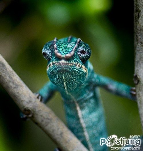 A beautiful World 16