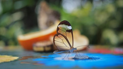 A beautiful World 16