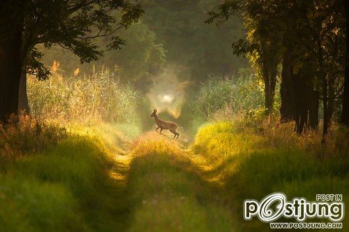 A beautiful World 16
