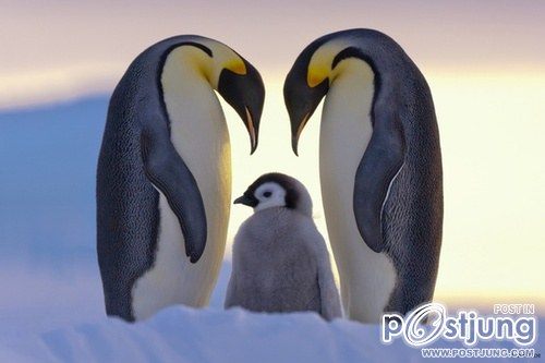 A beautiful World 16