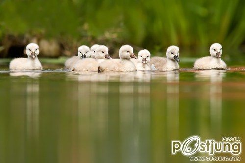A beautiful World 16