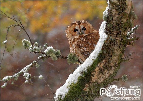 A beautiful World 16