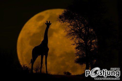A beautiful World 16