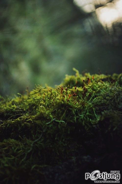 A beautiful World 16