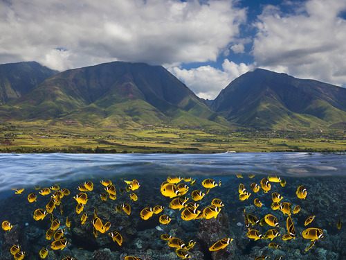 A beautiful World 17