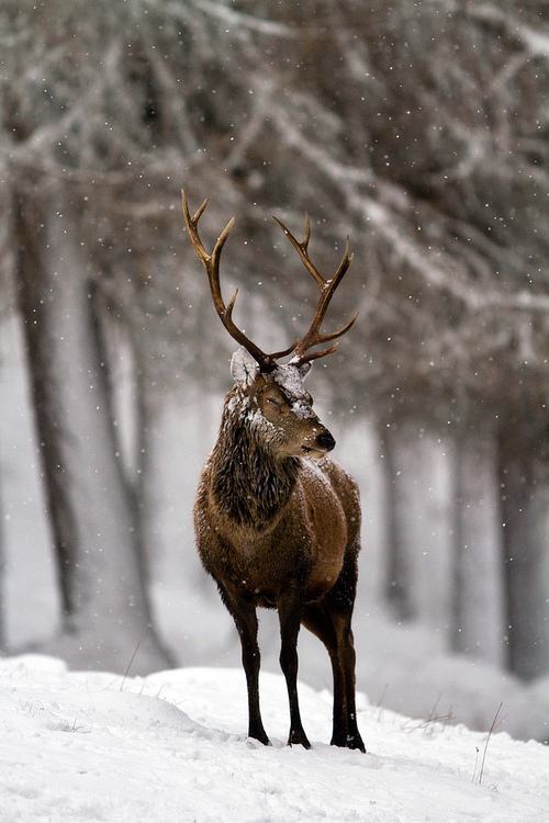 A beautiful World 17
