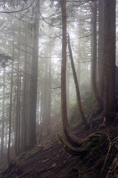 A beautiful World 18