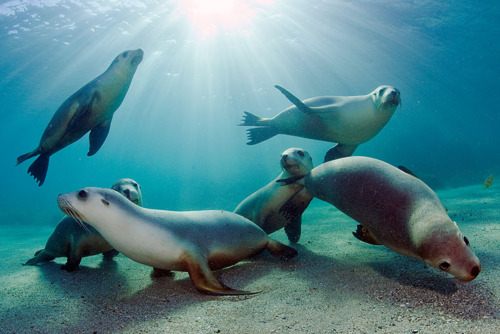 A beautiful World 18