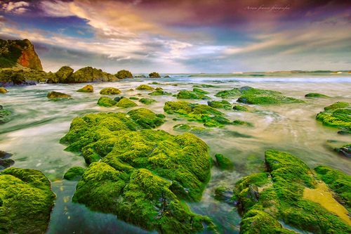 A beautiful World 18