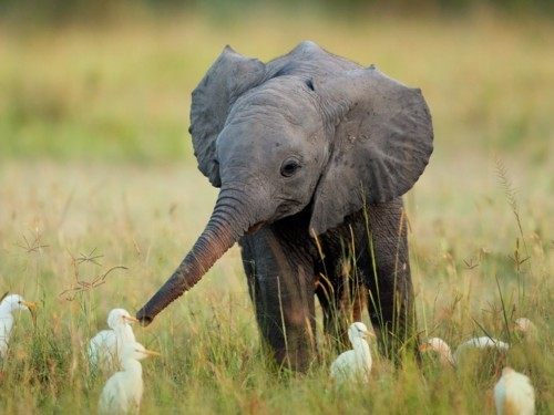 A beautiful World 18