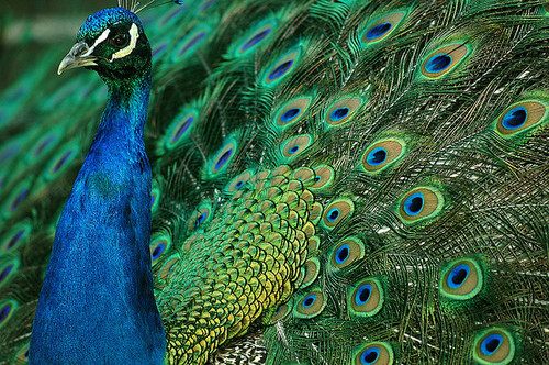 A beautiful World 18