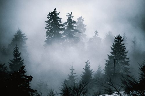 A beautiful World 18