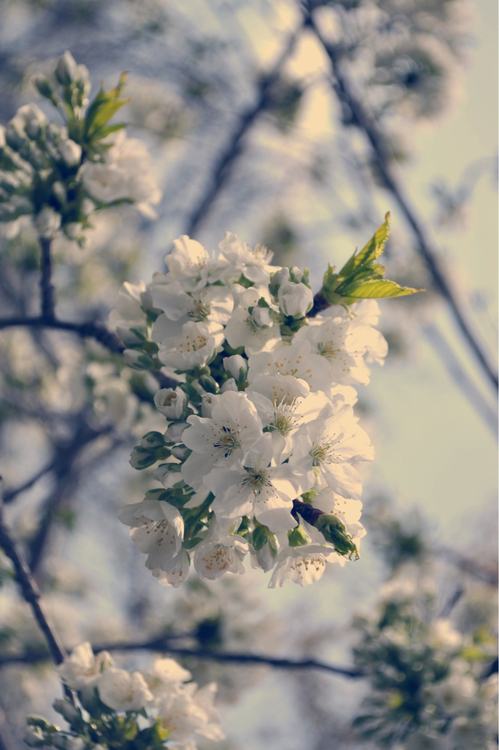 A beautiful World 18