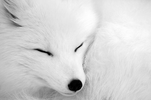 A beautiful World 19