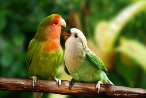 A beautiful World 19