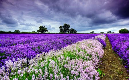 A beautiful World 19