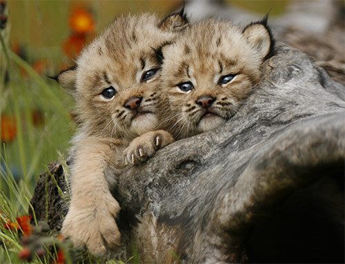 A beautiful World 19