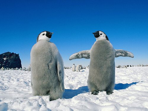 A beautiful World 19
