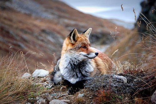 A beautiful World 19