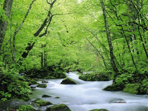 A beautiful World 19