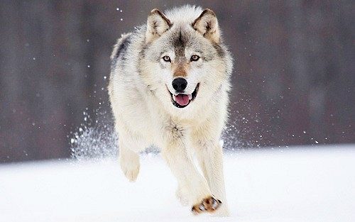 A beautiful World 19