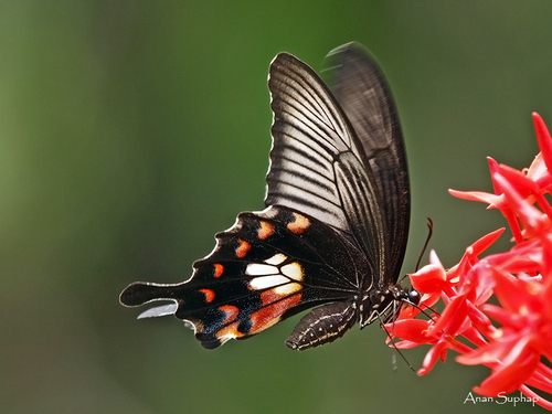 A beautiful World 19