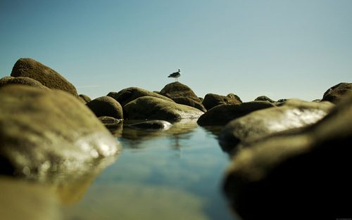 A beautiful World 20
