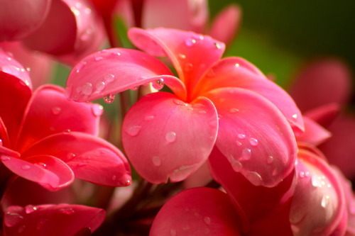A beautiful World 20