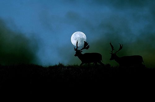 A beautiful World 20