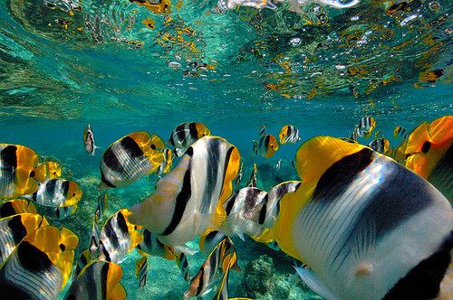 A beautiful World 20