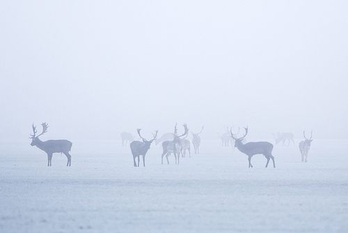 A beautiful World 20