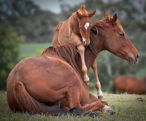 A beautiful World 20