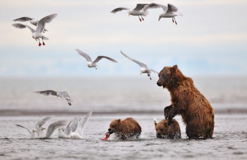 A beautiful World 20