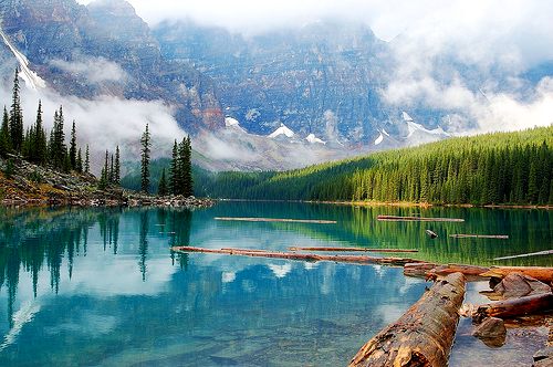 A beautiful World 20