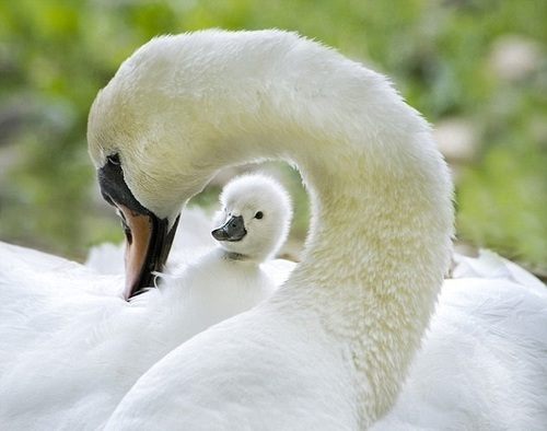 A beautiful World 20