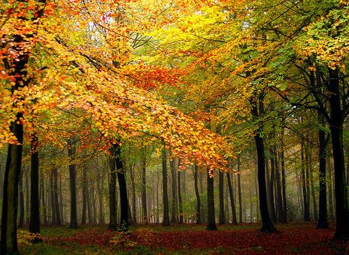 A beautiful World 20