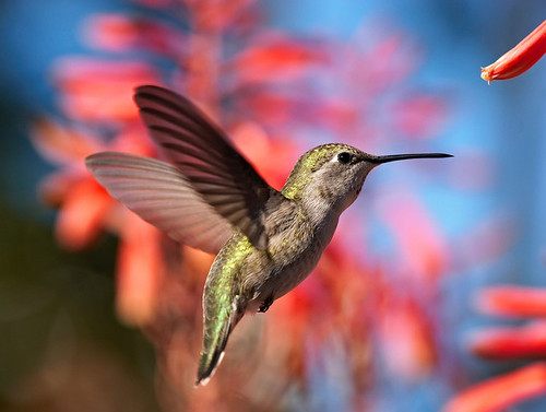 A beautiful World 20