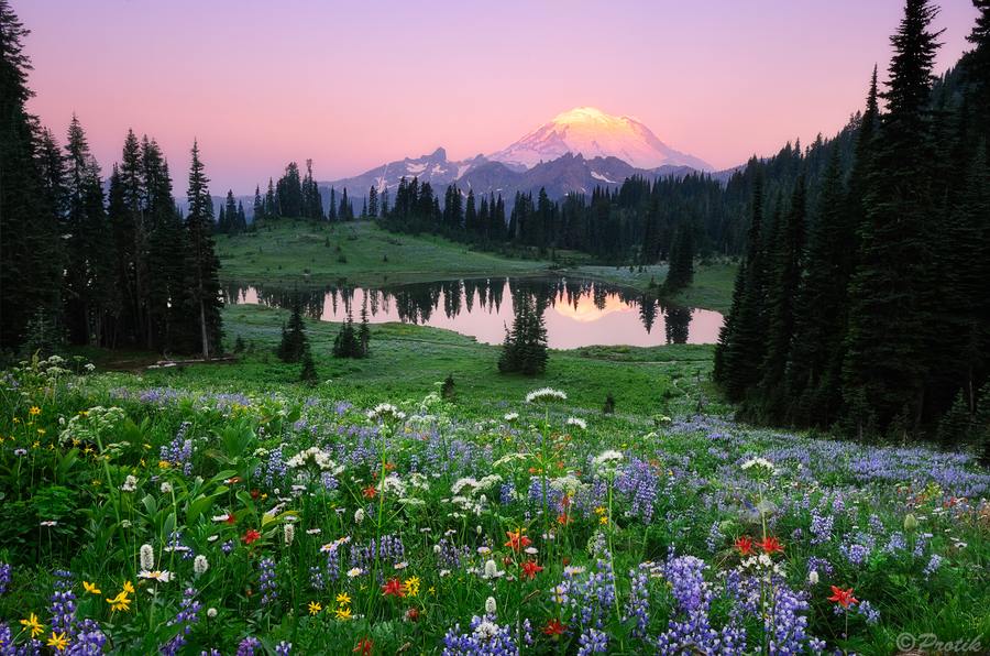 A beautiful World 21