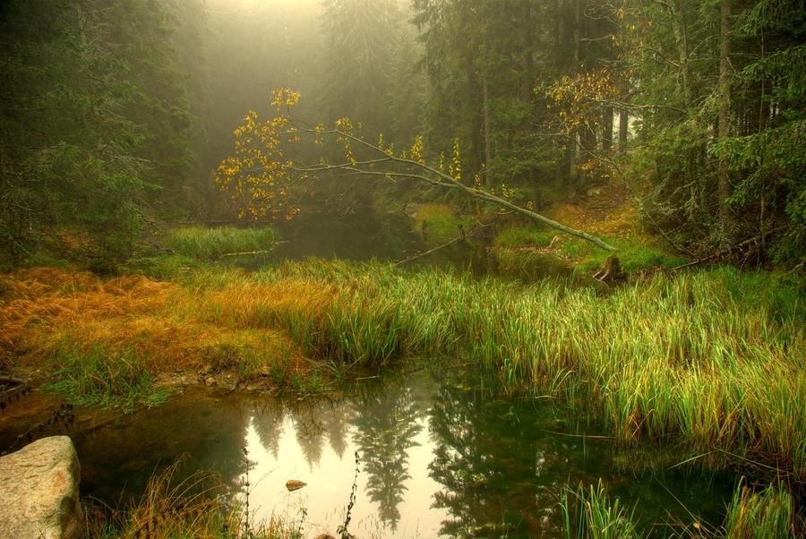 A beautiful World 21