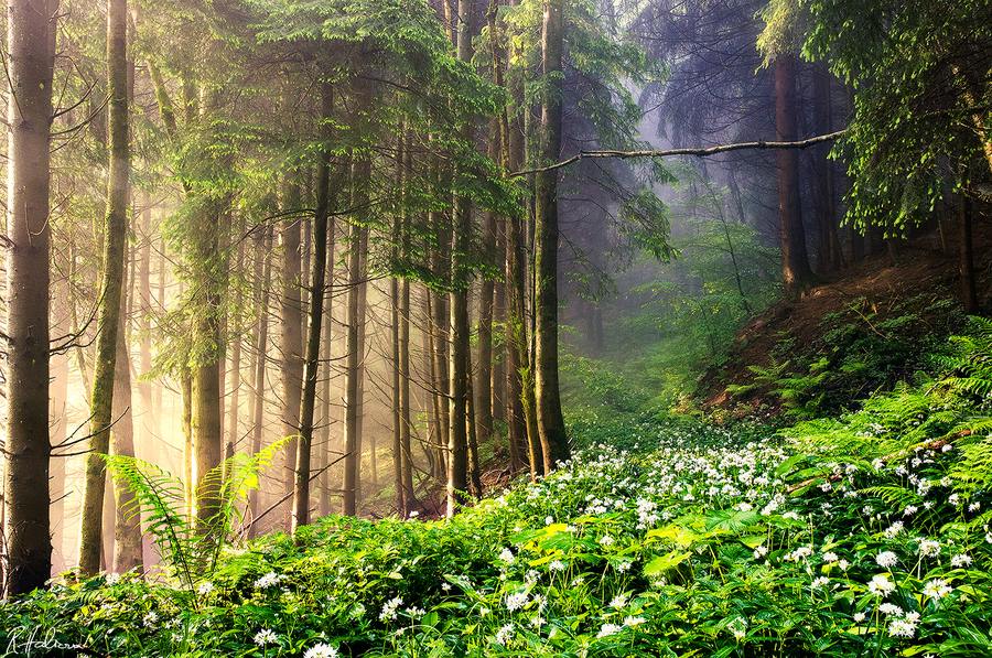 A beautiful World 21