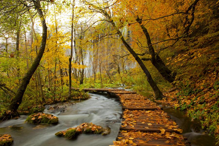 A beautiful World 21