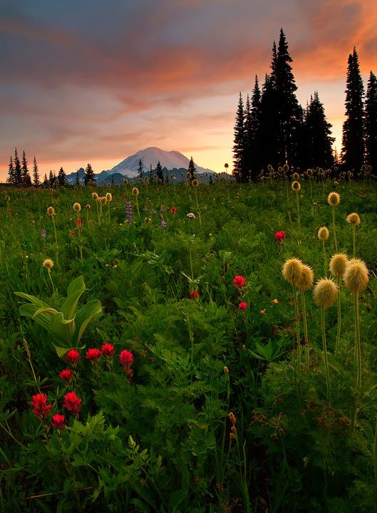 A beautiful World 21