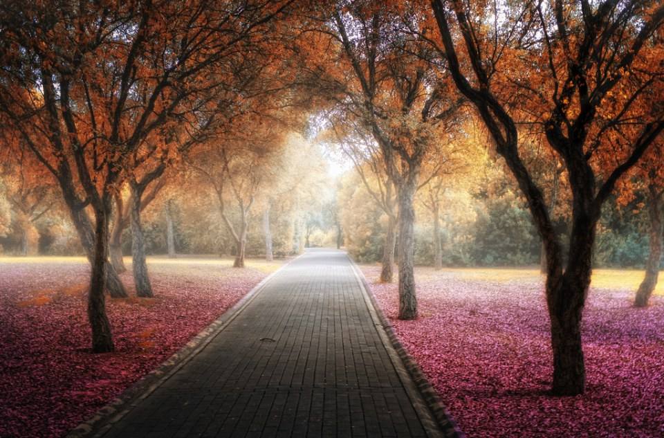 A beautiful World 21