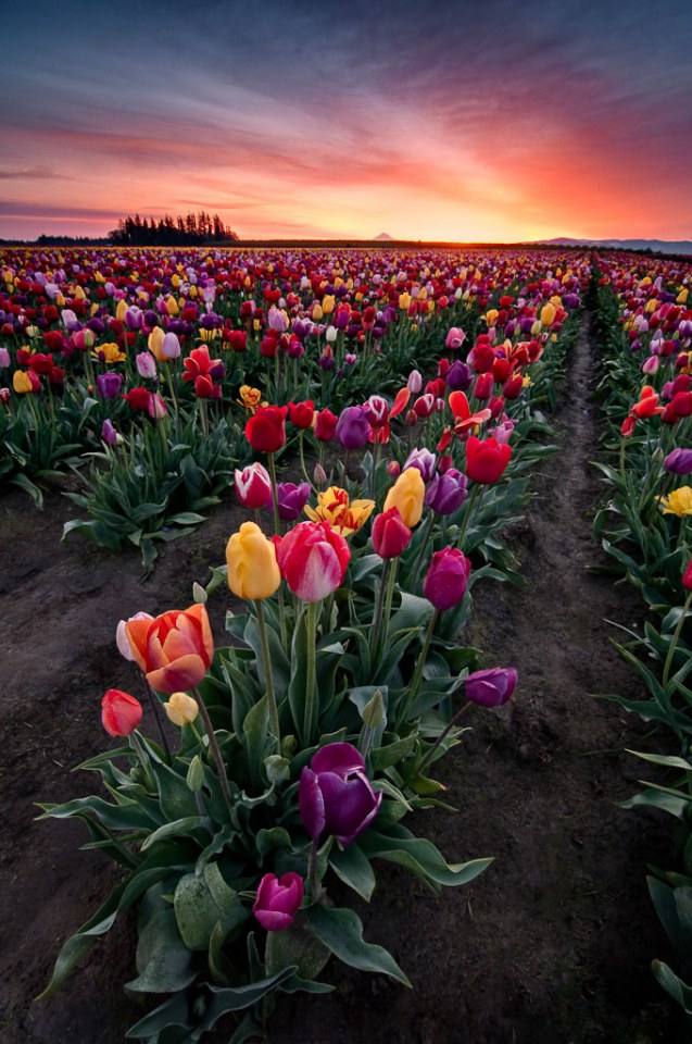 A beautiful World 21