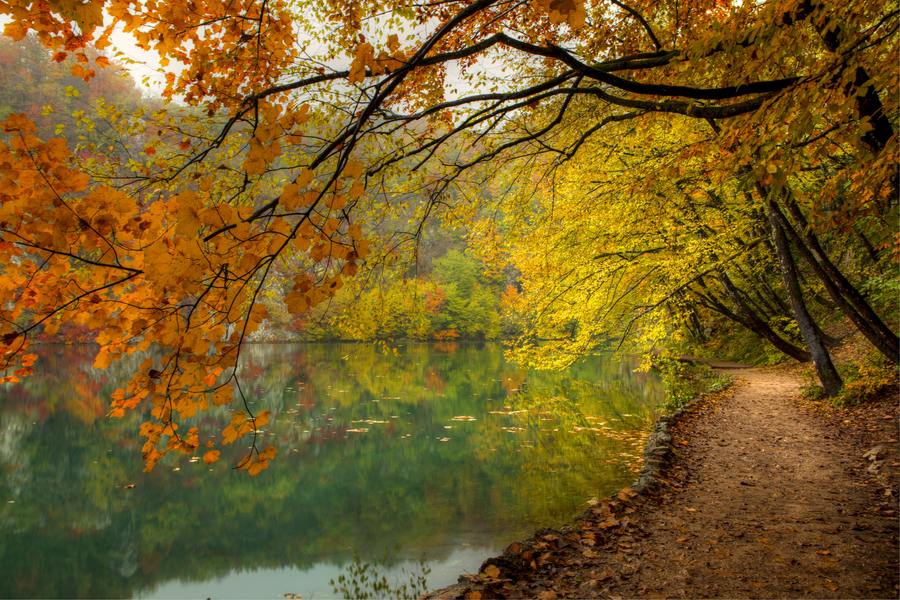 A beautiful World 21