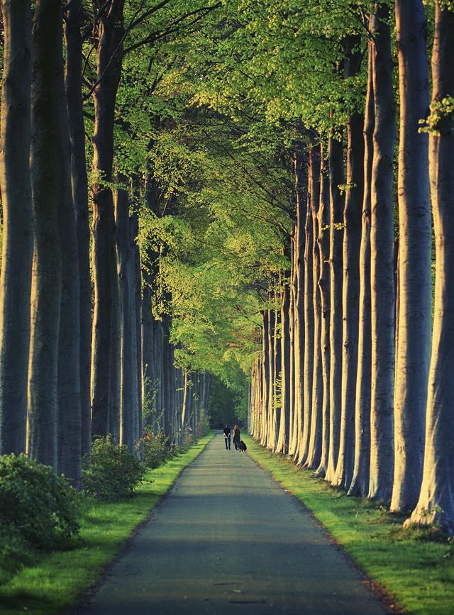 A beautiful World 21