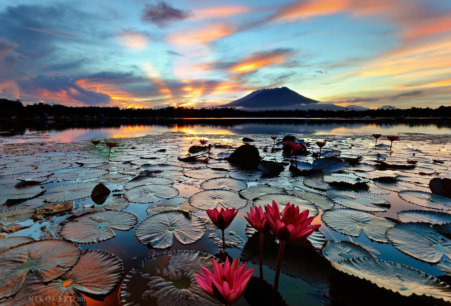 A beautiful World 21