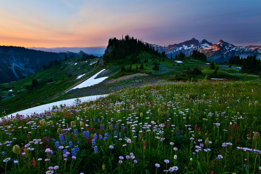 A beautiful World 21